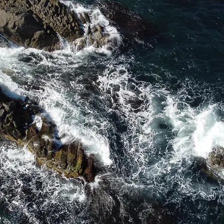 Skyline * Синеморец