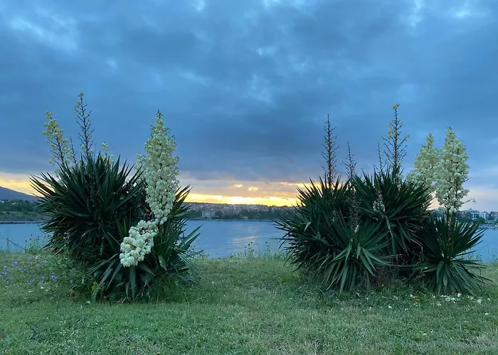 Apartment Skyline Sinemoretz